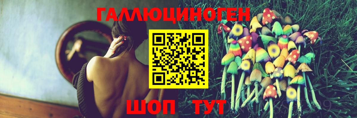 Псилоцибиновые грибы MAGIC MUSHROOMS  Вход с VPN  Гусь-Хрустальный 